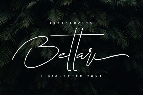 Bettari: A Signature Script for Modern Design