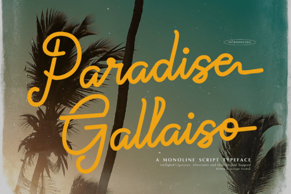 Paradise Gallaiso: A Breezy Script for Summer Brands